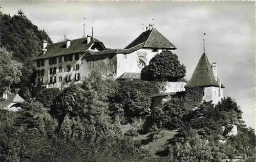 AK / Ansichtskarte  Laupen_BE Schloss