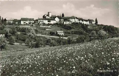 AK / Ansichtskarte  Regensberg_Dielsdorf_ZH Panorama Blumenwiese