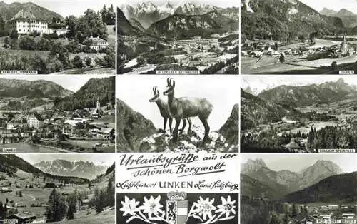 AK / Ansichtskarte 73965640 Unken_Salzburg_AT Schloss Oberrain Loferer Steinkogel Unken Heutal Gemsen Zollamt Steinpass Reit mit Drei Brueder