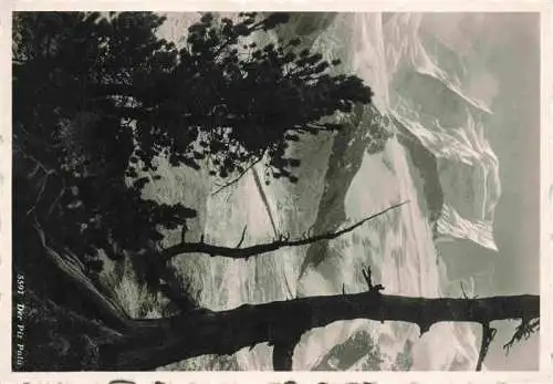 AK / Ansichtskarte  Piz_Palue_3905m_GR Panorama