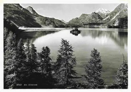 AK / Ansichtskarte  Silsersee Panorama Blick ueber den See