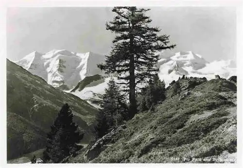 AK / Ansichtskarte  Piz_Palue_3905m_GR und Bellavista Gebirgspanorama
