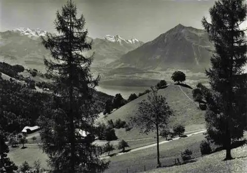 AK / Ansichtskarte  Schwendi_Thun_BE Panorama Blick gegen Bluemlislap Balmhorn Alteis Rinderhorn Niesen