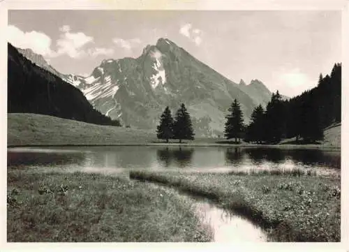 AK / Ansichtskarte  Graeppelensee_Wildhaus_SG Uferpartie am See Alpen