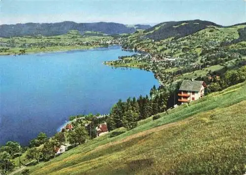 AK / Ansichtskarte  Oberaegeri_Ober-Aegeri_ZG Panorama aegerisee