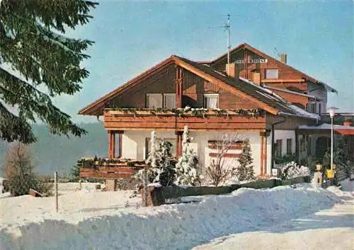 AK / Ansichtskarte  Hohenthan_Oberpfalz Altglashuette Haus Rose im Winter