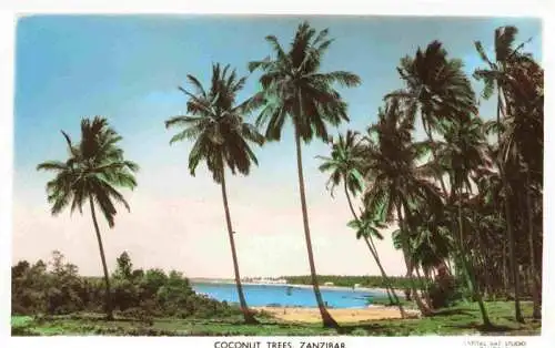 AK / Ansichtskarte 73966211 Zanzibar_Sansibar_Tanzania Coconut Trees