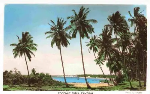 AK / Ansichtskarte  Zanzibar_Sansibar_Tanzania Coconut Trees