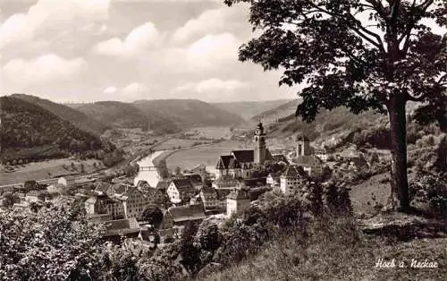 AK / Ansichtskarte  Horb_Neckar Panorama