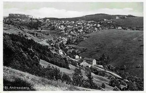 AK / Ansichtskarte  St_Andreasberg_Harz Treibholz Panorama