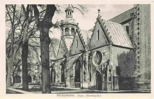 AK / Ansichtskarte  Hildesheim Dom