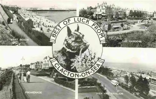 AK / Ansichtskarte  Clacton-on-Sea_UK West Beach The Gardens Promenade Pier and Pavilion Dog