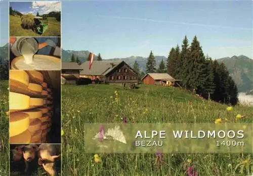 AK / Ansichtskarte 73966830 Bezau_Vorarlberg Alpe Wildmoos Heuernte Kaeserei