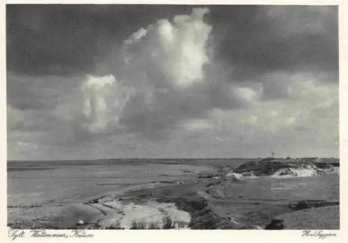 AK / Ansichtskarte  Keitum_Sylt Panorama Wattenmeer