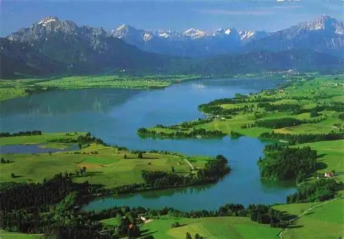 AK / Ansichtskarte 73967019 Forggensee_Fuessen_Allgaeu Fliegeraufnahme mit Saeuling und Tiroler Alpen