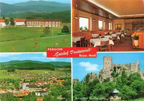 AK / Ansichtskarte  Regen_Bayern Pension Gutshof Poschetsried Restaurant Burgruine Weissenstein Panorama