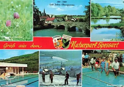 AK / Ansichtskarte  Altengronau_Sinntal_Hessen Schachbrettblume Bruecke Fischgut Gerbach Schwimmbad Winterpartie Kneippanlage