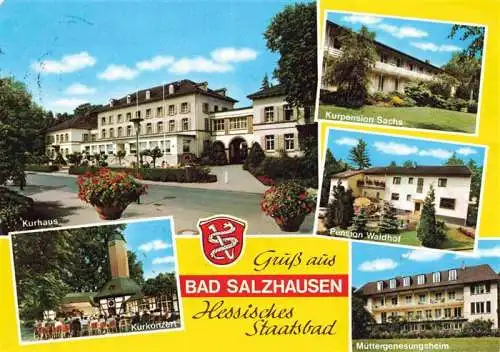 AK / Ansichtskarte 73967345 Bad_Salzhausen_Nidda Kurhaus Kurkonzert Kurpension Sachs Pension Waldhof Muettergenesungsheim