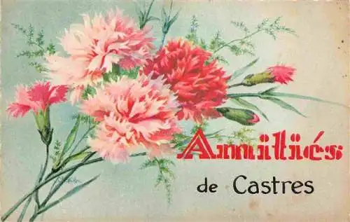 AK / Ansichtskarte  Castres__81_Tarn Amitiés de la ville Fleurs