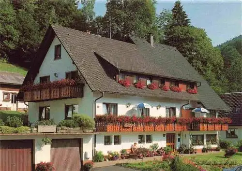 AK / Ansichtskarte  BAD_RIPPOLDSAU-SCHAPBACH Gaestehaus Franz und Elisabeth Schoch