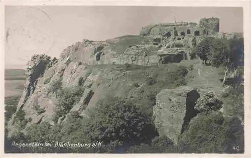 AK / Ansichtskarte  Blankenburg_Harz Regenstein