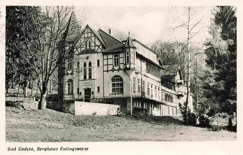 AK / Ansichtskarte 73967565 Bad_Sachsa_Harz Berghaus Eulingswiese