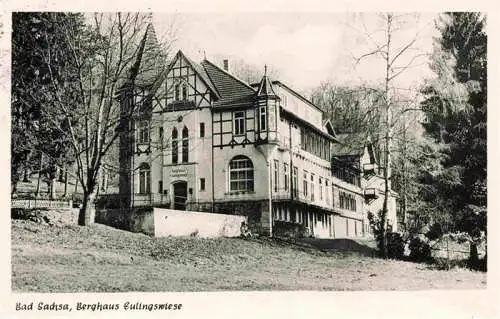 AK / Ansichtskarte  Bad_Sachsa_Harz Berghaus Eulingswiese