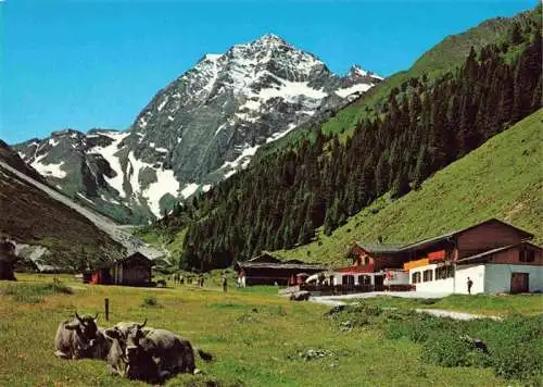 AK / Ansichtskarte  Neustift__Stubaital_Tirol_AT Alpengasthaus Pinnisalm Blick zum Habicht im Pinnistal Stubaital