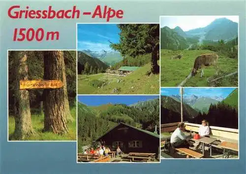 AK / Ansichtskarte 73967662 Griessbach-Alpe_1500m_Haeselgehr_Tirol_AT Berghuette Landschaftspanorama Alpen