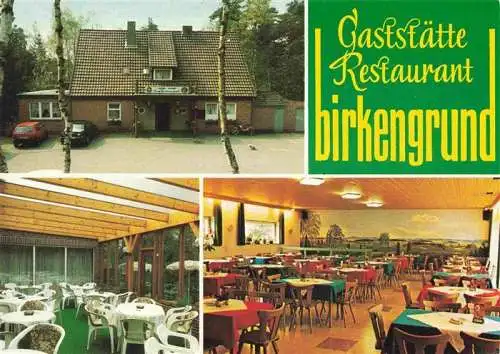 AK / Ansichtskarte 73967787 Schneverdingen Gaststaette Restaurant Birkengrund