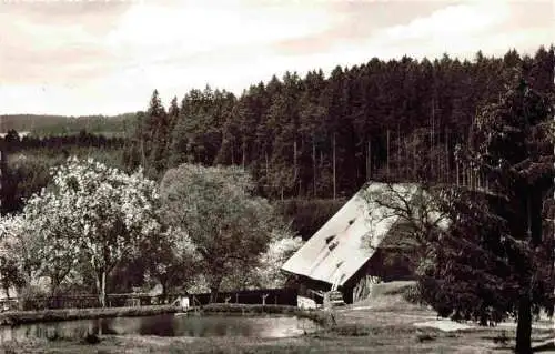 AK / Ansichtskarte 73967817 Koenigsfeld_Schwarzwald Grossbauernlinde