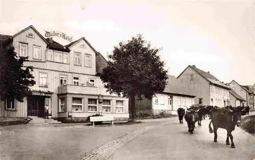 AK / Ansichtskarte 73967833 Hohegeiss_Harz Muellers Hotel Viehauftrieb