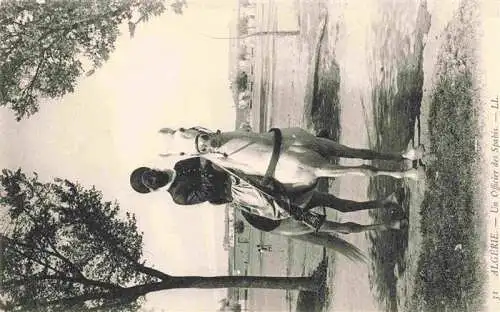 AK / Ansichtskarte  PFERDE_Horses_Cheval Algerie Officier des Spabis 
