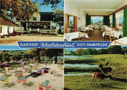 AK / Ansichtskarte  Hamfelde_Lauenburg Gasthof Waldeslust Hahnheider Forst Wild