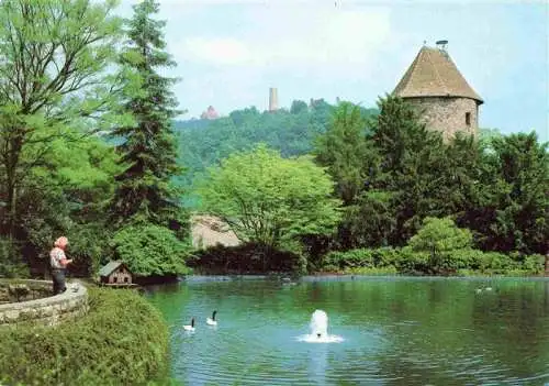 AK / Ansichtskarte  Weinheim_Bergstrasse_BW Wachenburg und Windeck der Blaue Hut Wasserspiegelung Schlossparkweiher