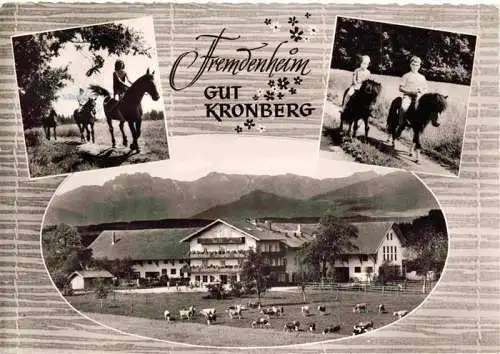 AK / Ansichtskarte 73968339 Hoeslwang_Bayern Fremdenheim Gut Kronberg Pferdekoppel Ponyreiten