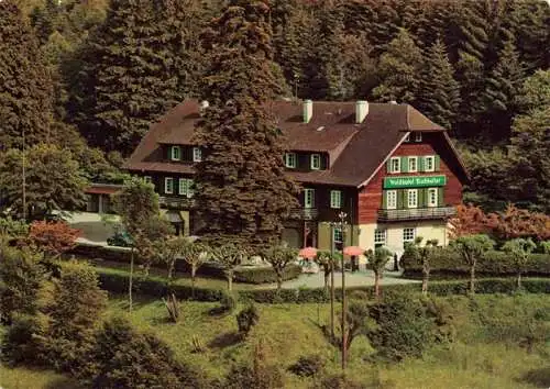 AK / Ansichtskarte  BADEN-BADEN Waldhotel Fischkultur