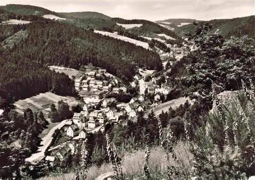 AK / Ansichtskarte  Lauterbach_Schwarzwald Fliegeraufnahme