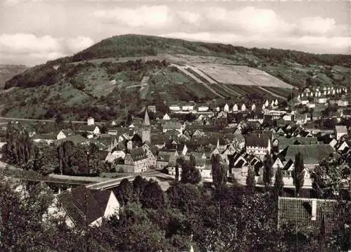 AK / Ansichtskarte  Niedernhall_BW Panorama