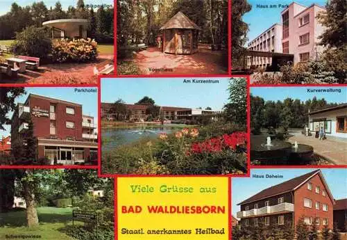 AK / Ansichtskarte 73968717 Bad_Waldliesborn Musikpavillon Vogelhaus Haus am Park Parkhotel Am Kurzentrum Kurverwaltung Liegewiese Haus Daheim