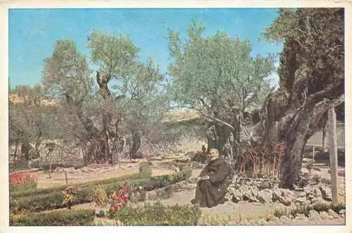AK / Ansichtskarte  Jerusalem__Yerushalayim_Israel The Garden of Gethsemane