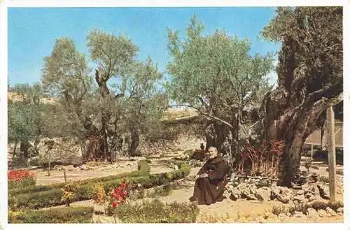 AK / Ansichtskarte 73968742 Jerusalem__Yerushalayim_Israel The Garden of Gethsemane