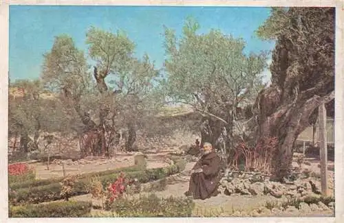 AK / Ansichtskarte  Jerusalem__Yerushalayim_Israel The Garden of Gethsemane