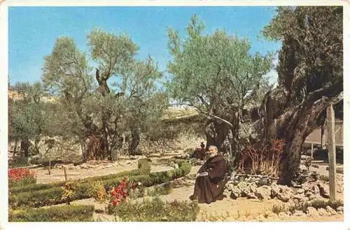 AK / Ansichtskarte  Jerusalem__Yerushalayim_Israel The Garden of Gethsemane