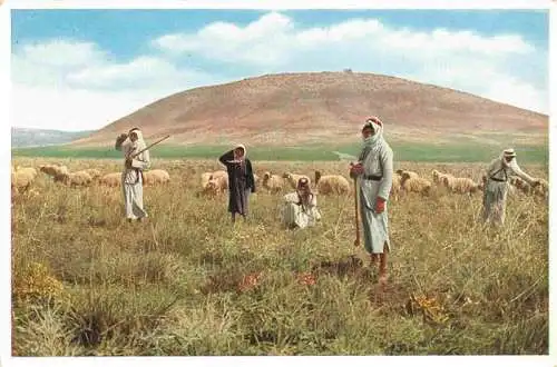 AK / Ansichtskarte 73968773 Jezreel Mount Tabor and shepherds in the Plain of Jezreel
