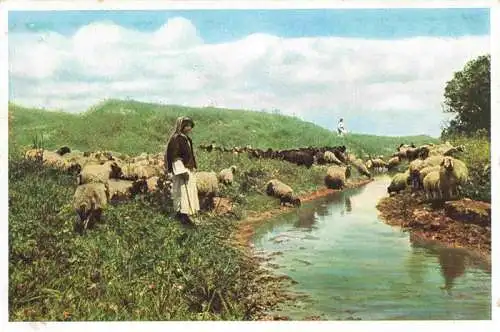 AK / Ansichtskarte  Jerusalem__Yerushalayim_Israel Shepherds near el-Lejjún Schafhirten