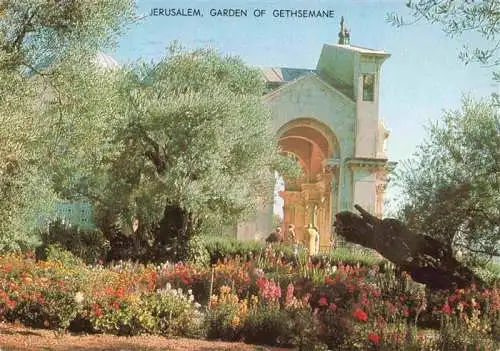 AK / Ansichtskarte 73968892 Jerusalem__Yerushalayim_Israel The Garden of Genthsemane