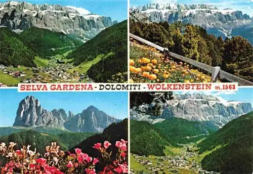 AK / Ansichtskarte  Wolkenstein_Groeden_Selva_Val_Gardena_Suedtirol_IT Panorama Alpenflora Dolomiten