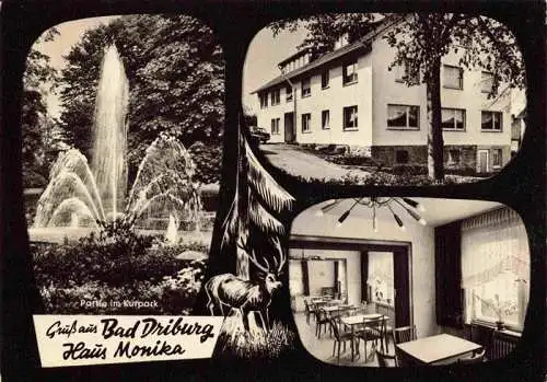 AK / Ansichtskarte 73969249 BAD_DRIBURG Haus Monika Partie im Kurpark Gaststube