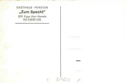 AK / Ansichtskarte  Egge_Hameln Gasthaus Pension Zum Specht